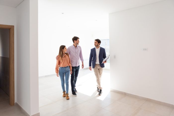 Demystifying Real Estate Agencies: Property Transactions Guide