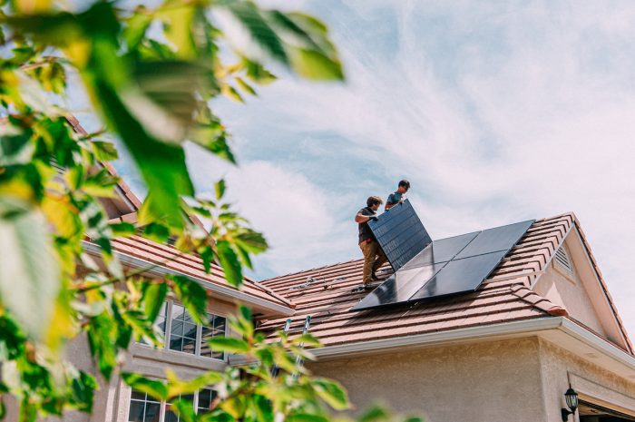 Embracing Solar Power: A Complete Guide to Solar Panels and Their Future